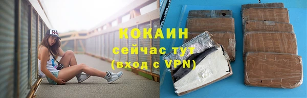 гашик Переславль-Залесский