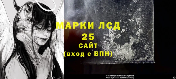 гашик Осташков
