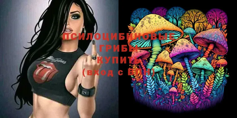 блэк спрут вход  Сортавала  Псилоцибиновые грибы MAGIC MUSHROOMS  магазин  наркотиков 